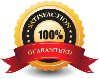 Amusement Park Rentals